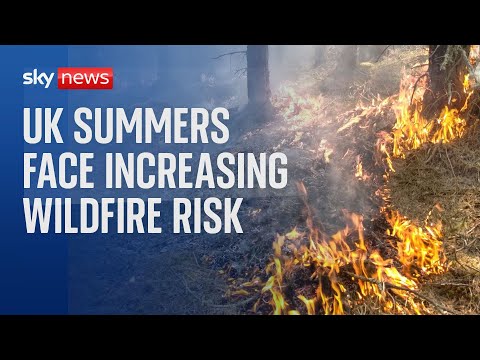 England and Wales at ‘very high’ risk of wildfires