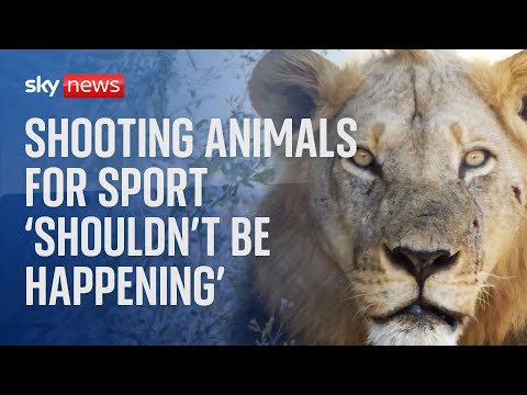 Shooting animals for sport ‘shouldn’t be happening’