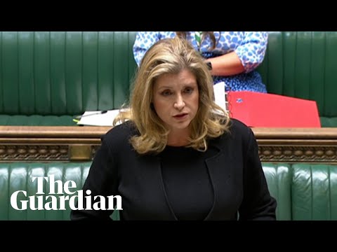 Penny Mordaunt says MPs must do ‘what they think is right’ when voting on Johnson report