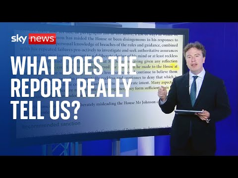 Partygate: What does the parliamentary inquiry report say?