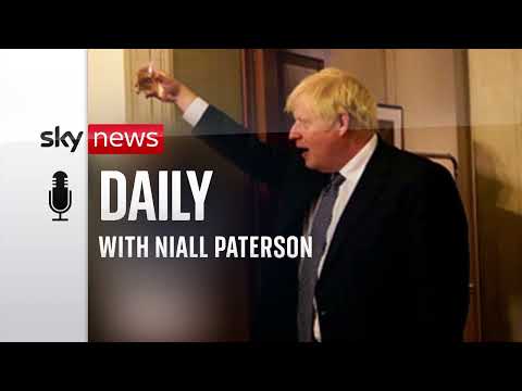 Boris Johnson report: Brutal, damning, but can he really say ‘vindictive’?