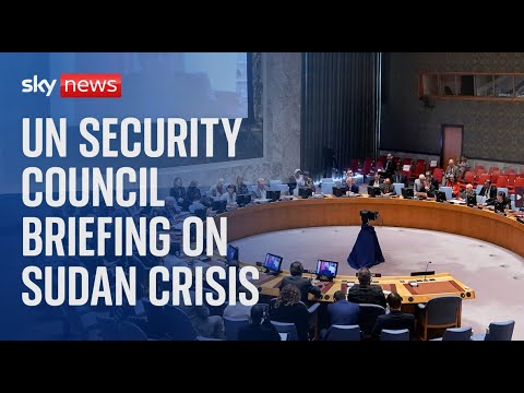 Watch live: UN Security Council holds briefing Sudan and South Sudan crisis