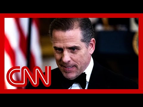 Was Hunter Biden given a ‘sweetheart deal’? Legal expert weighs in