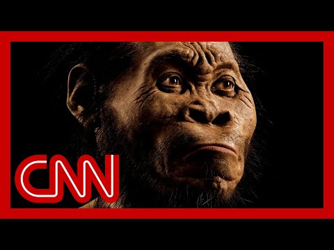 ‘That just died’: Paleoanthropologist debunks myth about humans