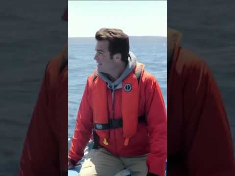 Locating the missing sub is like ‘finding a needle in a moving haystack’