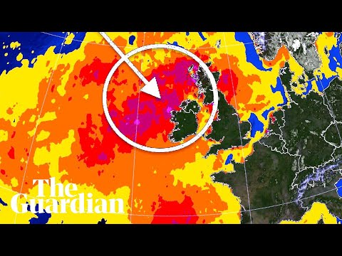 What you need to know about the ‘extreme’ heatwave hitting our oceans