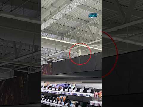 Seagull escapes Asda after getting stuck for 16 days #itvnews #news #bristol #asda #seagull