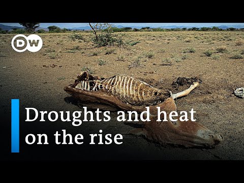The challenges of intensifying droughts and extreame heat | DW News