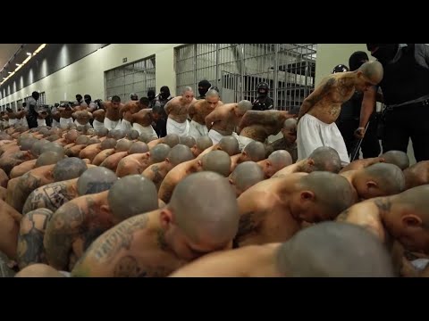El Salvador’s murder rate has fallen dramatically – but at what cost? | ITV News