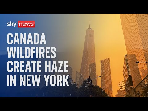 Canadian wildfires create smog across New York skyline