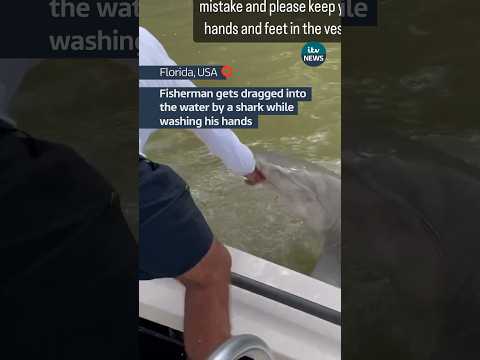 Fisherman gets dragged into water by shark while washing his hands in #florida #shark #news