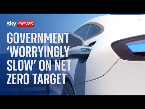 Net Zero: Government progress on meeting commitments ‘worryingly slow’, report finds