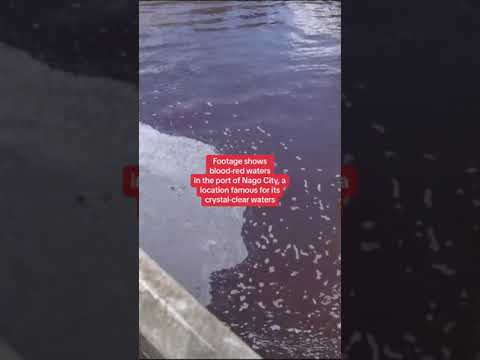 Beer leak causes sea to turn red