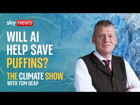 Will AI help save puffins? | The Climate Show with Tom Heap