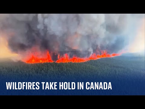 Canada wildfire: People evacuated as ‘intense and volatile’ blazes spread across British Columbia