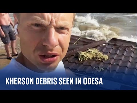 Ukraine War: Building parts washing up on Odesa beaches after Kherson floods, says MP