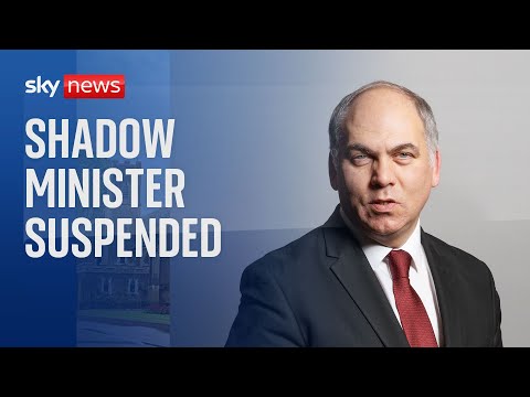 Labour shadow minister Bambos Charalambous suspended