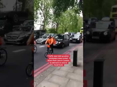 Just Stop Oil activists block traffic on London’s Park Lane