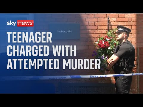 Devon: Teenager charged with attempted murder after school assaults
