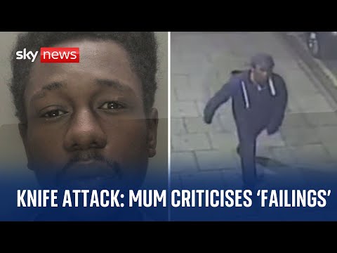 Mum criticises ‘astonishing failings’ after ‘missed opportunities’ to identify son’s killer