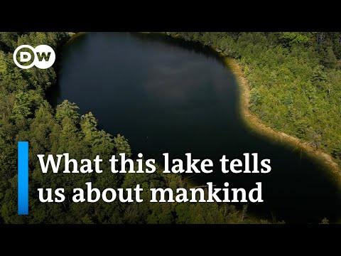 The moment when mankind began to irreversibly change the earth | DW News