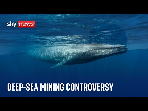 ‘Gold rush’ warning over plans to mine precious metals in deep sea