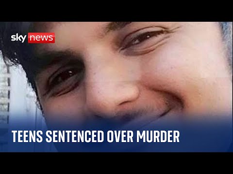 Two teenagers sentenced for murder of 16-year-old Ronan Kanda in case of mistaken identity