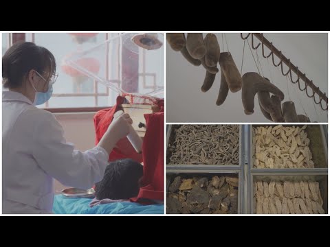 Herbal remedies, cupping and Tai Chi: Inside China’s £420bn traditional medicine market | ITV News