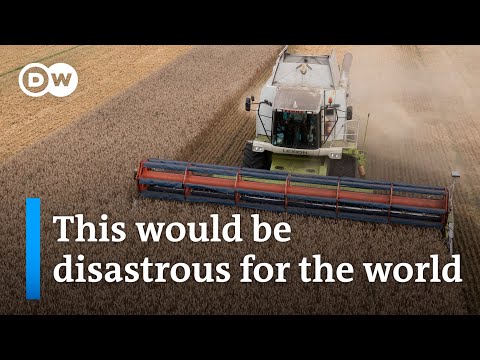 Putin threatens to withdraw from the Black Sea grain deal unless some sanctions are lifted | DW News