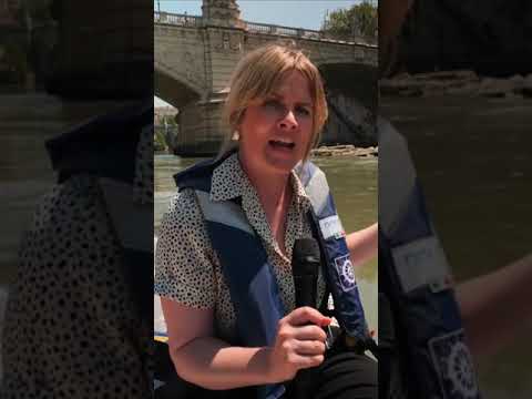 Heatwave: Low river levels reveal ancient bridge