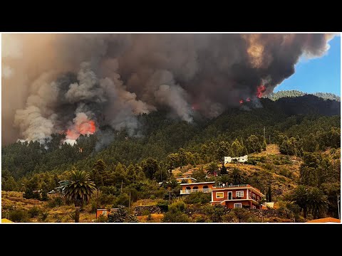 Heatwave scorches Europe as ‘out of control’ fire rages in La Palma | ITV News