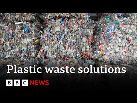 How can we fix our plastic waste problem? – BBC News