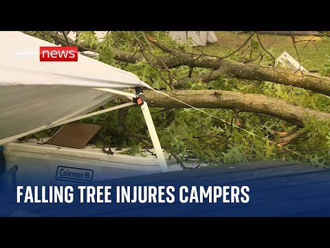 Falling tree injures three campers in Indiana