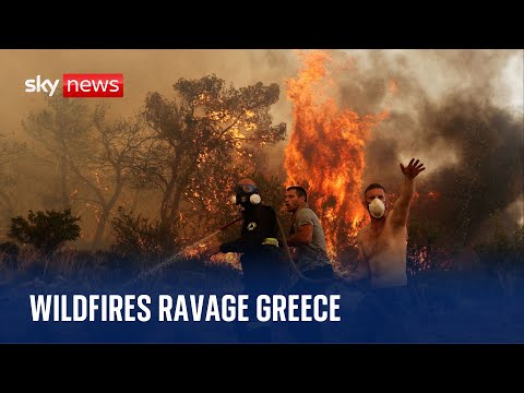 Heatwave: Thousands evacuate as wildfires tear through Greece