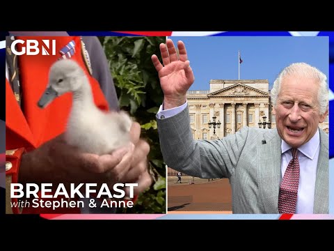 King Charles continues swan upping tradition with right to own unmarked swans | Cameron Walker