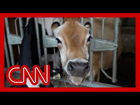 Hear how McDonald’s could help save the earth