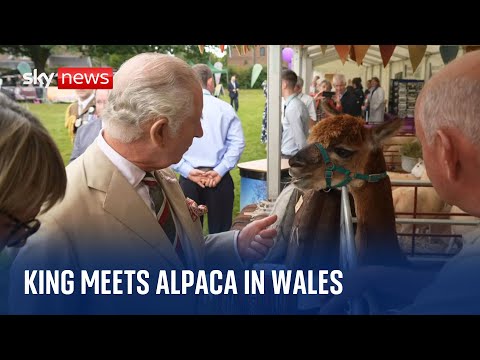 The King and Queen visit Wales for first time since Coronation