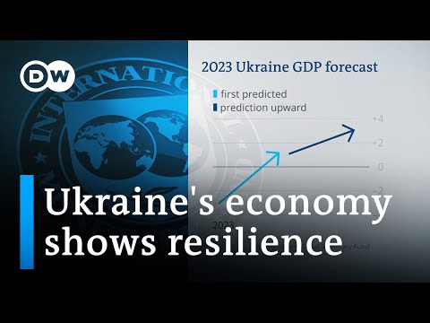 What’s keeping Ukraine’s economy going? | DW Business