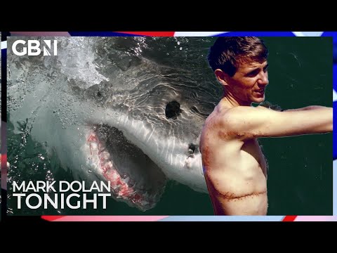 ‘It was a MIRACLE’ | Great white shark attack survivor details terrifying ordeal