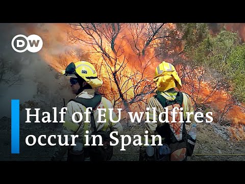 Prevention teams in Spain work to stop wildfires before they start | Focus on Europe