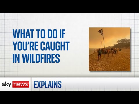 What to do if you’re in an area threatened by wildfires