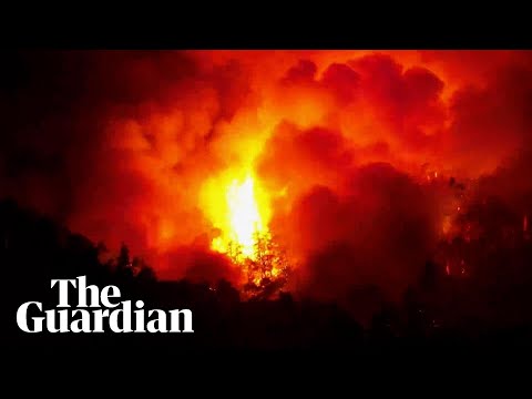 Turkey: wildfires rage overnight close to resort of Kemer