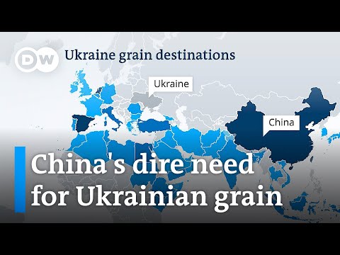 Will Beijing’s call for ‘cooperation’ pressure Russia into a new black sea grain deal? | DW News