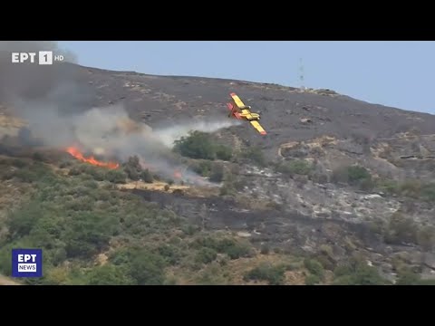 Two pilots die when plane fighting wildfires in Greece crashes on island of Evia | ITV News