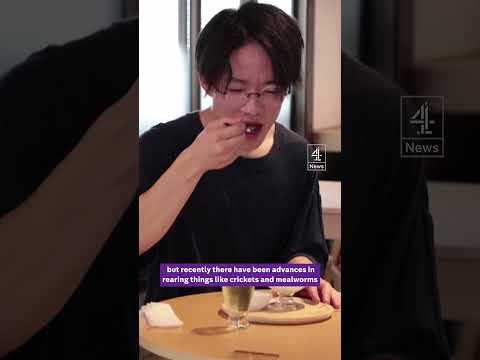 Would you eat and drink insects?