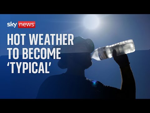 UK’s 2022 weather – which saw 40C temperature record – to become ‘typical’