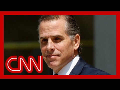 What was the disconnect in the Hunter Biden plea deal?