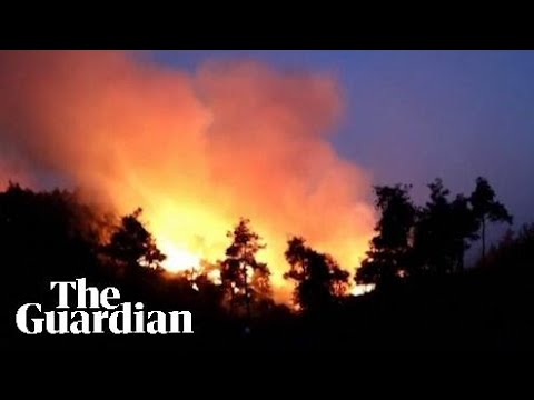Wildfires break out in the woodlands of Latakia province in Syria