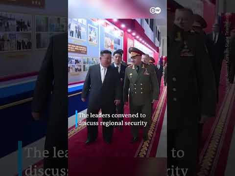 Russia’s Defense Minister Shoigu visits North Korea | DW News
