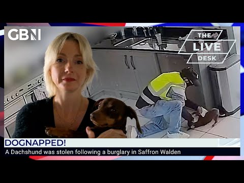 Dognapping: Dachshund Twiglet returned home after online reaction to CCTV footage of burglary